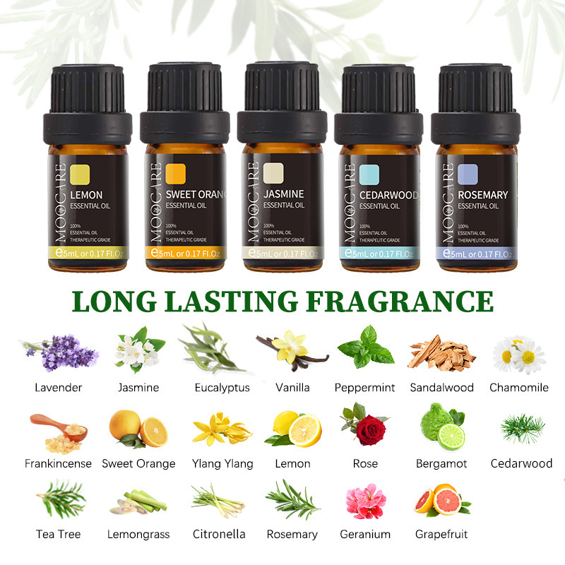 Set de Aceites Esenciales para - Candle Supplies Essential Oils reseña y precio